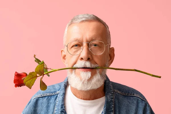 Mature man with rose flower on pink background. Valentine\'s day celebration