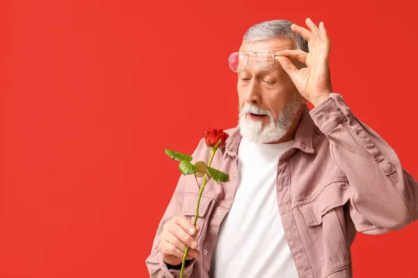 Mature man with rose flower for Valentine\'s day on red background