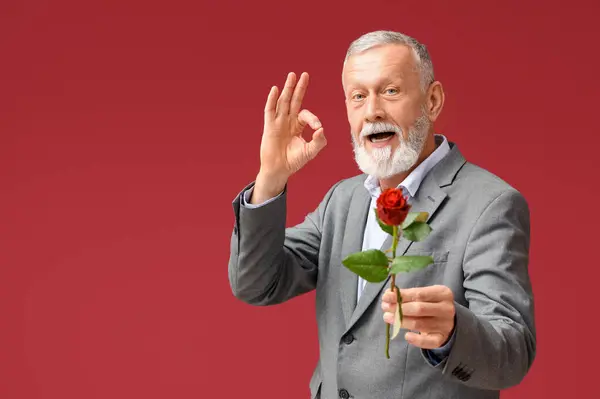 Mature man with rose flower showing OK on red background. Valentine\'s day celebration