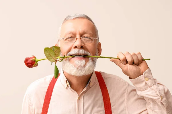 Mature man with rose flower on white background. Valentine\'s day celebration
