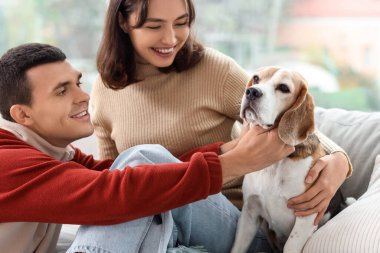 Evde sevimli Beagle köpeği olan genç bir çift.