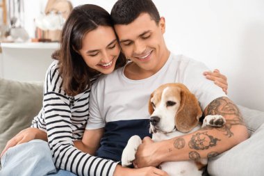 Evde sevimli Beagle köpeği olan genç bir çift.