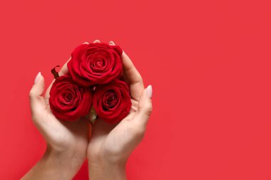 Kırmızı arka planda güzel gülleri olan kadın elleri. Sevgililer Günü kutlaması