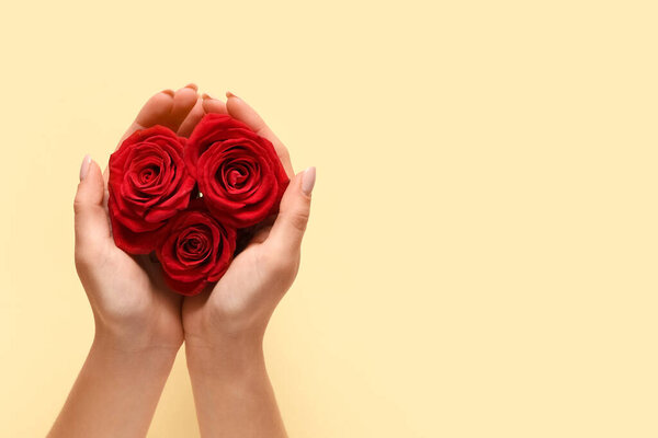Female hands with beautiful red roses on yellow background. Valentine's day celebration