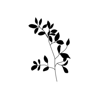 Beyaz arkaplanda yaprakları olan dal