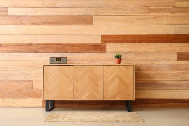 Radyo alıcısı olan TV standı ve odasındaki ahşap duvarın yanına bitki dikin.