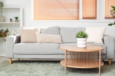 Gri kanepesi ve kahve masası olan aydınlık oturma odasının içinde.