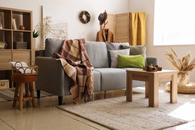 Modern oturma odasının içinde gri kanepe, sıcak battaniye ve sehpanın üzerinde çam kozalakları.