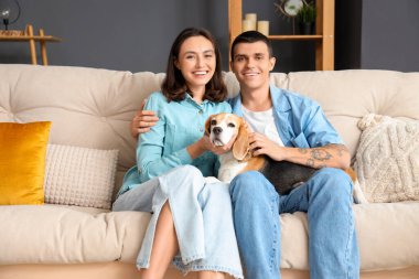 Evde sevimli Beagle köpeği olan genç bir çift.