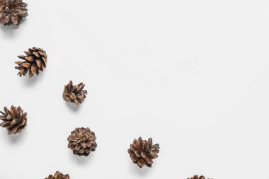 Beyaz arkaplanda birçok çam kozalağı