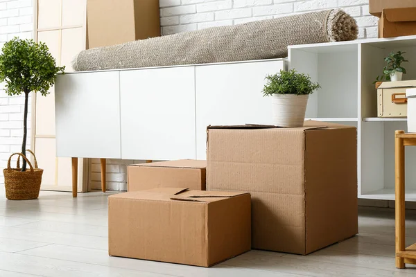 Cardboard boxes with plant in living room on moving day