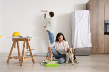 Yeni evlerinin tamiri sırasında Beagle köpeğiyle duvar boyayan genç çift.