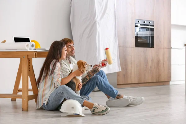 Young couple with Beagle dog and paint roller using mobile phone during repair in their new house