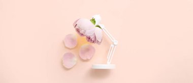 Mini lambalı kompozisyon ve pembe arka planda güzel gül çiçekleri