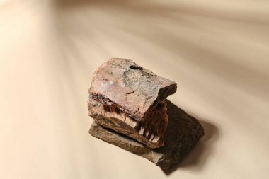 Bej arkaplanda dekoratif taş podyumlar