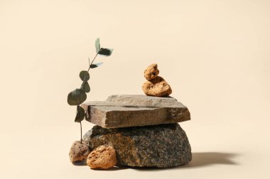 Bej arka planda okaliptüslü dekoratif taş podyumlar