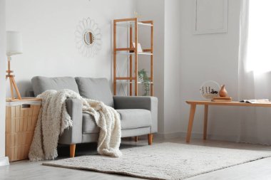 Aydınlık oturma odasının içindeki yumuşak battaniyeli rahat gri kanepe.