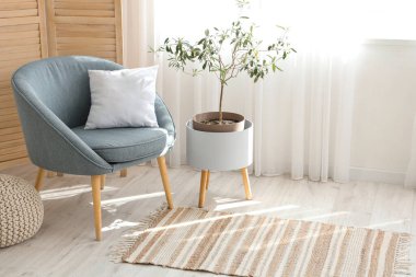 Gri koltuk, halı ve bitkiyle iç içe.