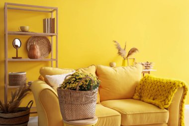 Kanepesi, çiçekleri ve balkabağı olan rahat bir oturma odası.