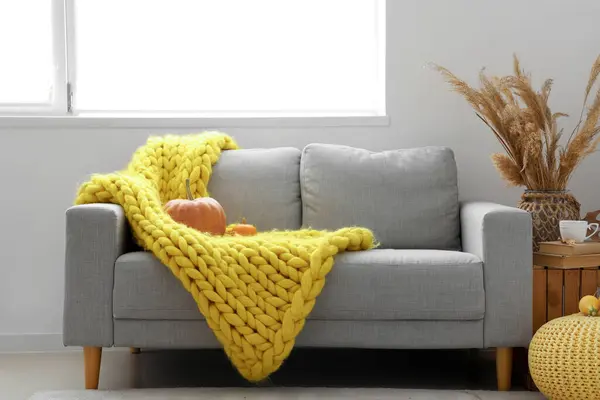Autumn interior of living room with grey sofa, yellow knitted blanket and pumpkins