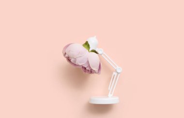 Renkli arkaplanda küçük masa lambası ve güzel çiçekli kompozisyon