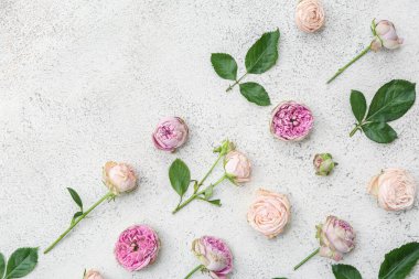 Güzel pembe güller ve beyaz arka planda yapraklar
