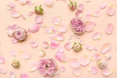 Renkli arka planda güzel pembe güller ve taç yaprakları