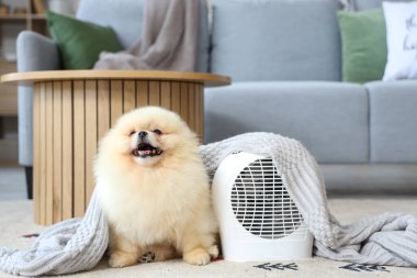 Evde ekose ve elektrikli vantilatör ısıtıcısı olan şirin Pomeranya salyası.