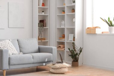 Interior of light living room with grey sofa, houseplants and shelving unit