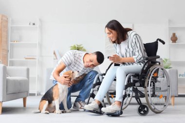 Genç adam ve karısı evde Beagle köpeğiyle tekerlekli sandalyede.