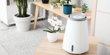 Modern nemlendirici oturma odasındaki masada.