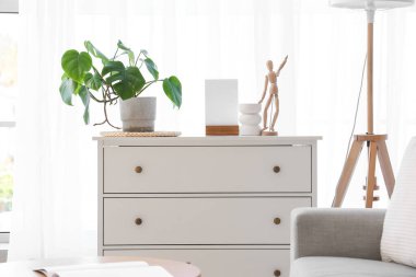 Oturma odasındaki pencerenin yanında bitki ve dekor bulunan beyaz tuvalet