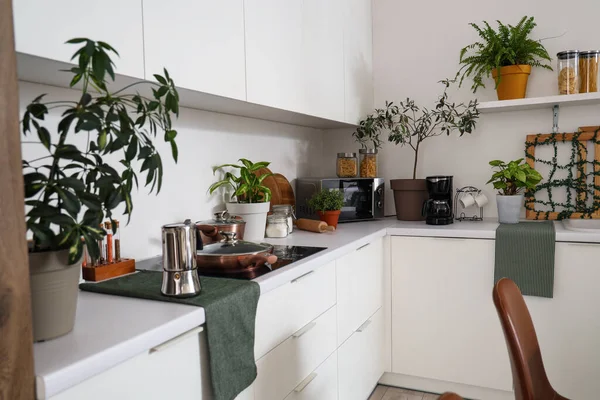 Interior of modern kitchen with green plants and counters