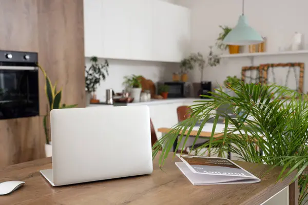 Laptop with magazine on table and palm tree in kitchen