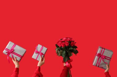 Hediye kutularını tutan kadın eller ve kırmızı arka planda güzel güller. Sevgililer Günü kutlaması