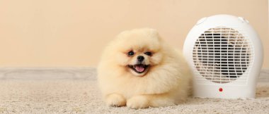 Cute Pomeranian spitz near electric fan heater at home. Banner for design