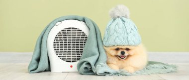 Cute Pomeranian spitz in hat, warm plaid and electric fan heater near green wall