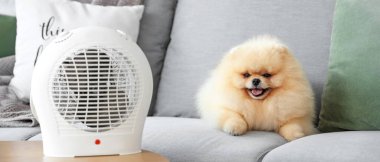 Evdeki elektrikli vantilatör ısıtıcısının yanındaki koltukta tatlı Pomeranya salyası.