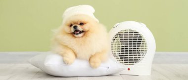 Cute Pomeranian spitz in hat lying on pillow near electric fan heater against green wall