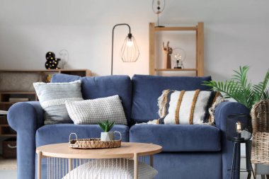 Tray with succulent on coffee table in living room