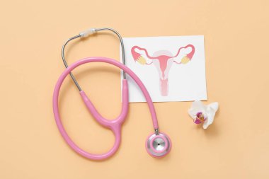 Renkli arkaplanda kadın uterusu çizimi olan steteskop