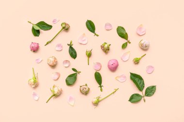 Bej arka planda yaprakları ve yaprakları olan güzel pembe güller