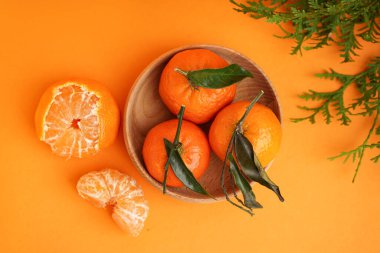 Wooden bowl with tasty tangerines, leaves and thuja branches on orange background