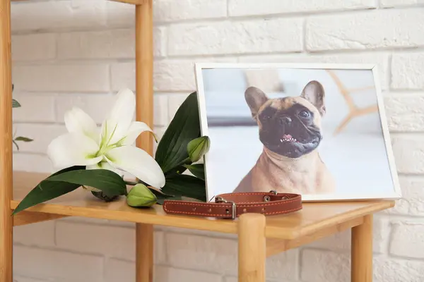 Frame with picture of dog, collar and lily flowers on wooden shelving unit near light brick wall, closeup. Pet funeral