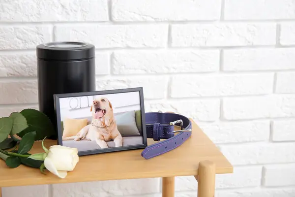 Frame with picture of dog, collar and mortuary urn on wooden shelving unit near white brick wall. Pet funeral