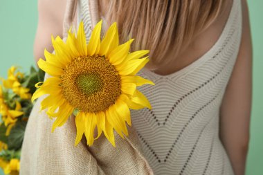 Woman with beautiful sunflower in bag on green background, back view