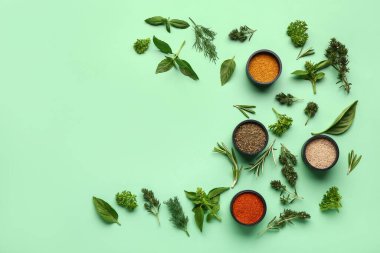 Renkli aromalı baharatlar ve taze bitkilerle kompozisyon