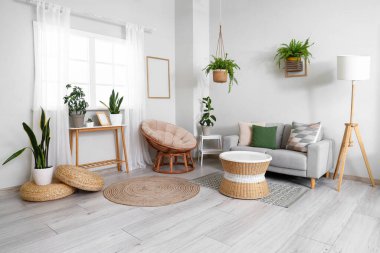 Interior of living room with green plants, sofa and armchair