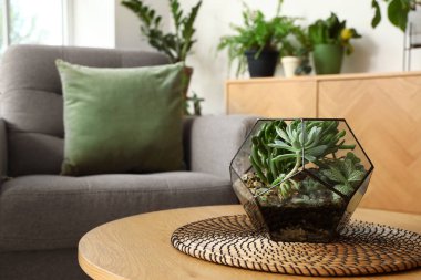 Oturma odasındaki Floraryum, yakın plan.