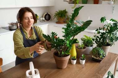 Female gardener cutting off plant branch in kitchen